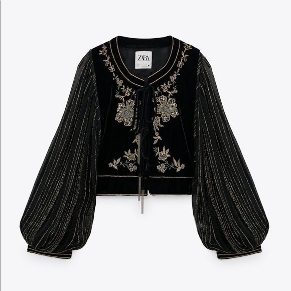 ZARA Embroidered Velvet Jacket - Picture 4 of 7